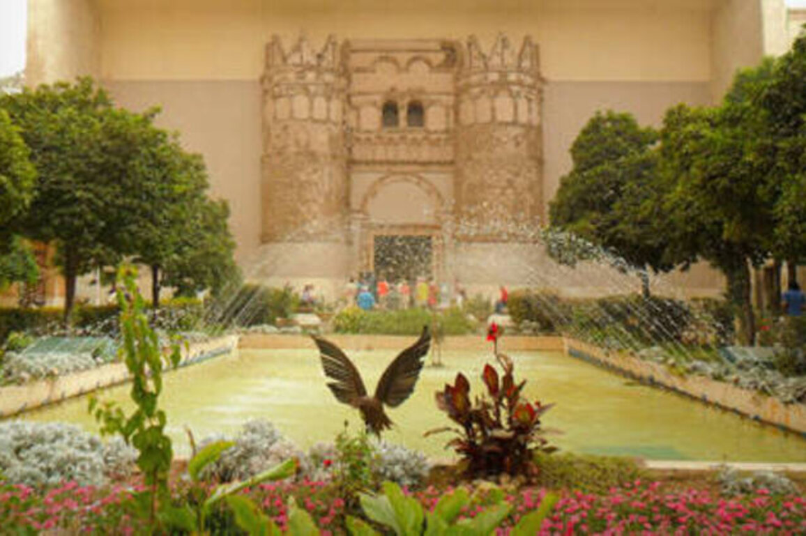 Syria's national museum robbed - media