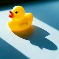 Stuck on a problem? Talking to a rubber duck might unlock the solution