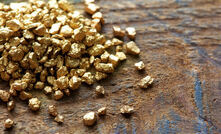  Pepitas de ouro