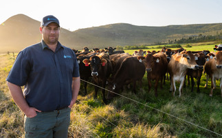 Partner Insight: Forage quality underpins South African dairy farm's business resilience
