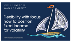 Partner Insight: Flexibility with a focus in fixed income