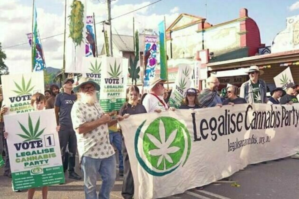 Why I am representing the Legalise Cannabis Party