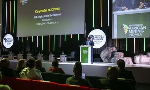 What we learned at Indaba