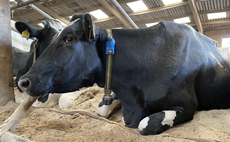 Water company launches emergency supply support for livestock farmers