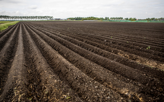 Robust measurement is the key to regenerative agriculture's success
