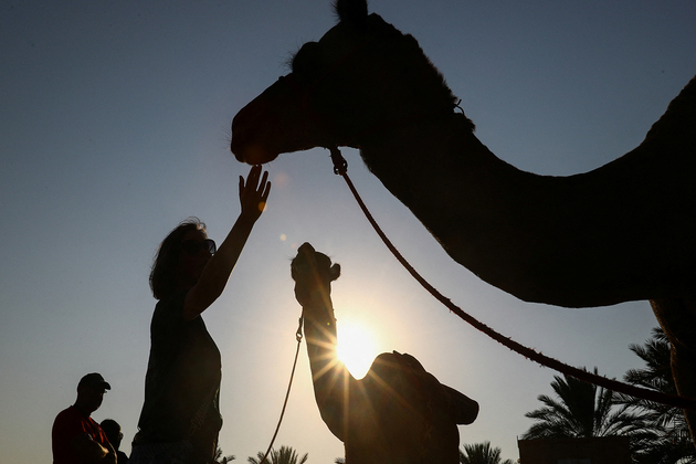 Pakistan: Feudal landlord cripples young camel for drinking water from his land in Sindh