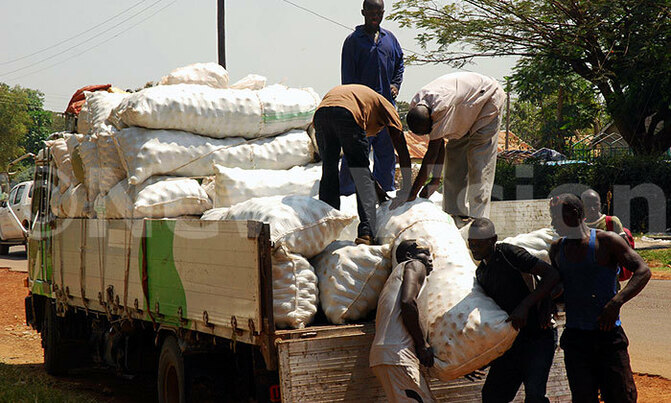 Fruit factory delay angers Teso farmers Fruit factory delay angers Teso farmers