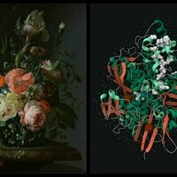 For both artists and scientists, slow looking allows surprising connections to surface