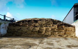 Why are we in an extreme silage growing season?