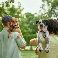 Do people really resemble their dogs?