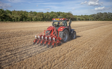 Trail results show beet establishment benefits with strip-tillage