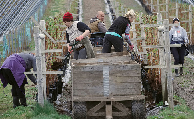 New rules mean horticulture workers to work in the UK for up to six months within any 10-month period