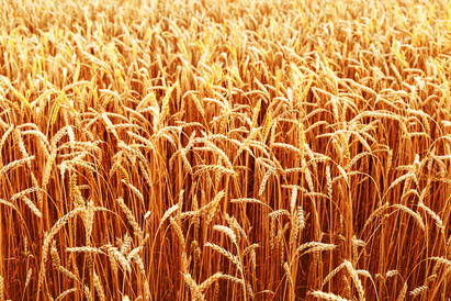 The graph that highlights the opportunity in high yield