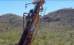 Hammer hits copper drilling greenfields Ajax prospect