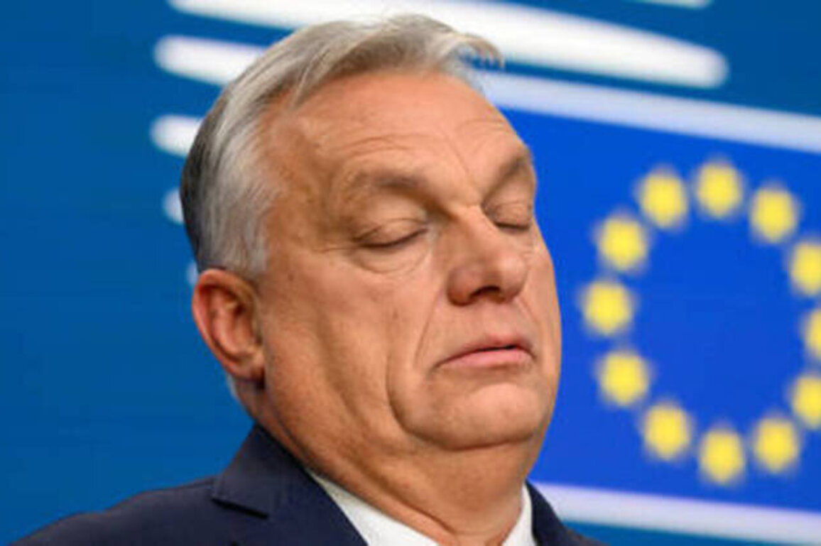EU drowning in corruption - Orban