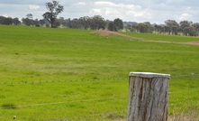 The Productivity Commission has shone a light on a proposed biosecurity levy. Photo: Mark Saunders.