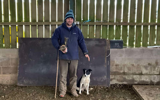NSA Highland Sheep Preview: Scottish Young Farmers will battle it out to be top dog  
