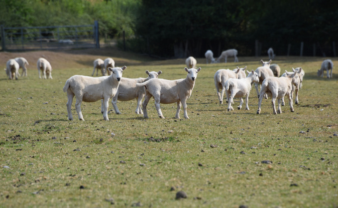 Drought and dry conditions are predicted to become more frequent in the coming decades. Drought and dry conditions are predicted to become more frequent in the coming decades.