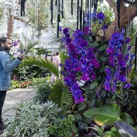 CANADA-BURLINGTON-FLORAL SHOWCASE