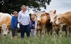 Sacombe Simmentals celebrate golden anniversary