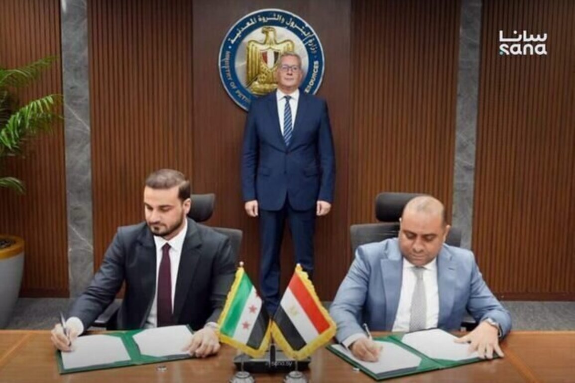 Syria, Egypt expand bilateral cooperation in energy sector