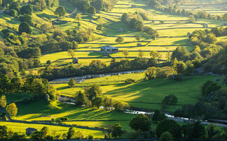 Treasury 'do not understand' how IHT changes impacts tenant farmers