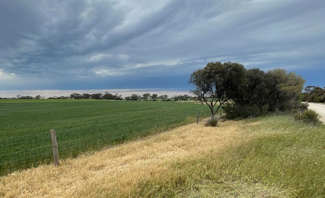 A research project is focusing on roadside weed management on the Fleurieu and Yorke Peninsulas in South Australia and findings may be able to be applied and utilised on a broader scale.
