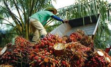 Darwin biodiesel plant gets moving