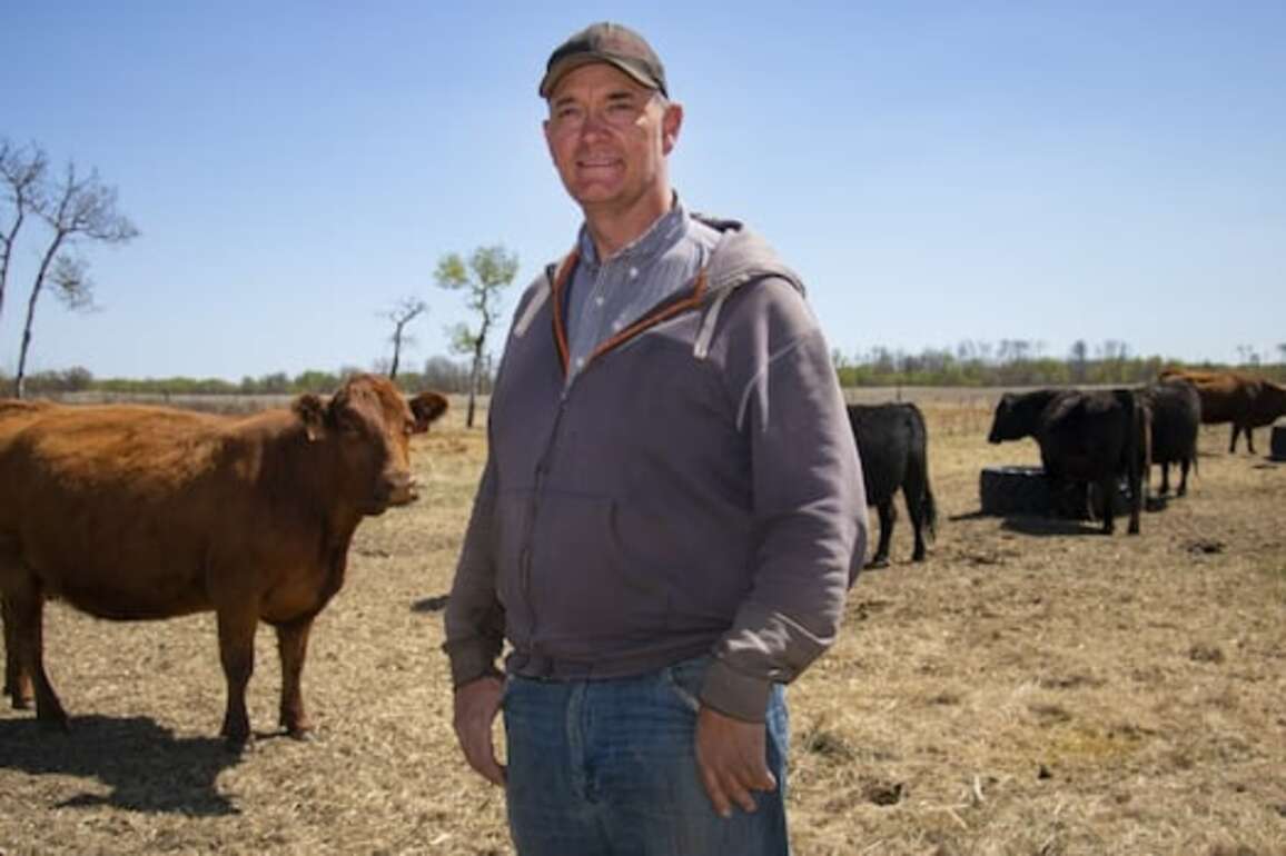 Record-breaking cattle prices a lifeline for farmers facing inflation, trade tensions
