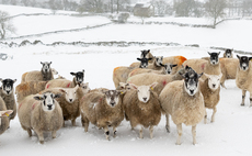 Farmers warned more snow and ice forecast this week