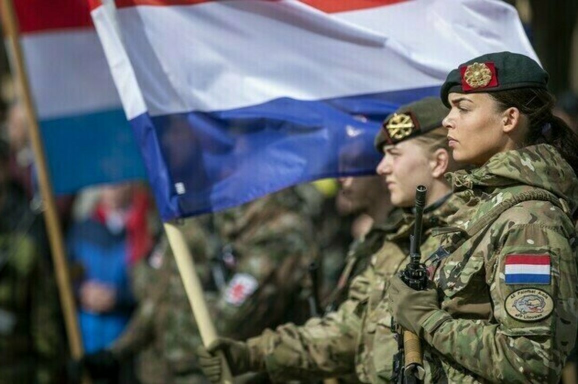 NATO state looking to nearly triple army size  media