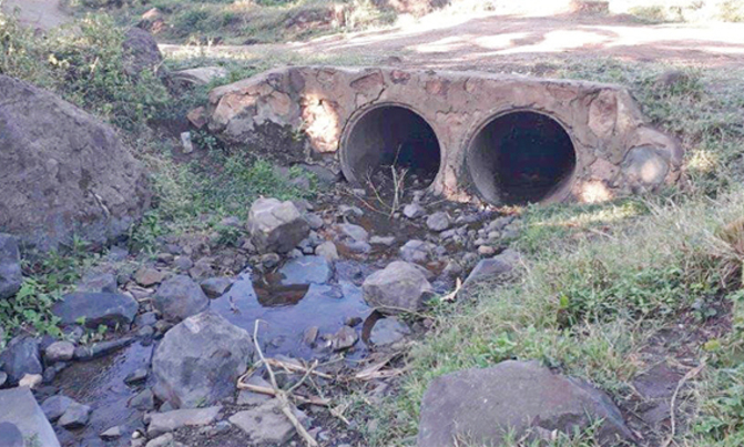 Why Elgon's lost rivers need saving Why Elgon's lost rivers need saving