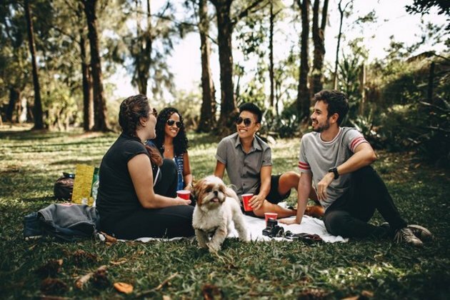 Park protection is critical for biodiversity conservation: Research
