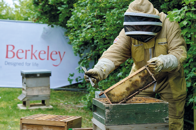 Berkeley creates a buzz at Highcroft for World Bee Day