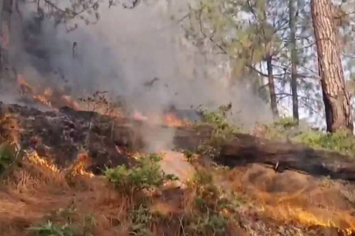 J-K: Massive forest fires break out in Rajouri amid heatwave, dry spell