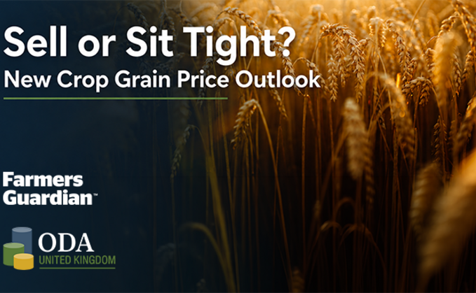 Watch our latest webinar: Sell or sit tight? New crop grain price outlook