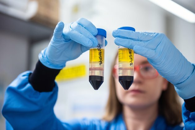 Oxford scientists: how we developed our COVID-19 vaccine in record time