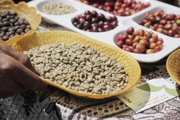 Letter from Mideast: In Yemen's highlands, hope persists where coffee grows