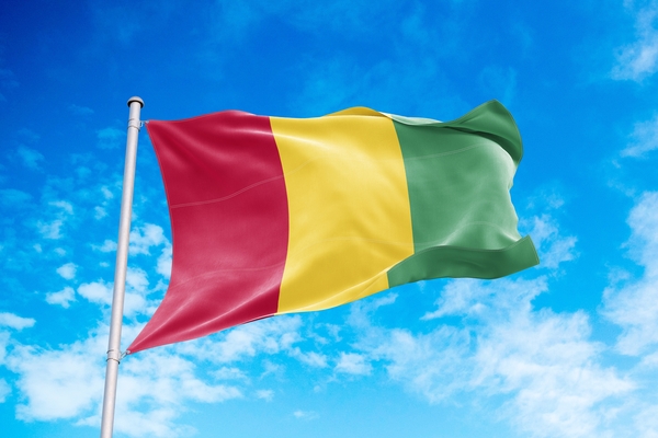 Resolute joins the Guinea gig of permits revoked