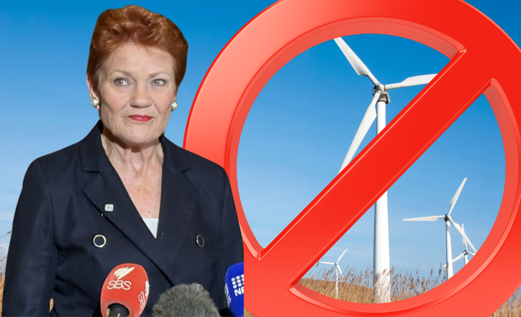 Pauline Hanson wants to scrap all renewable energy projects