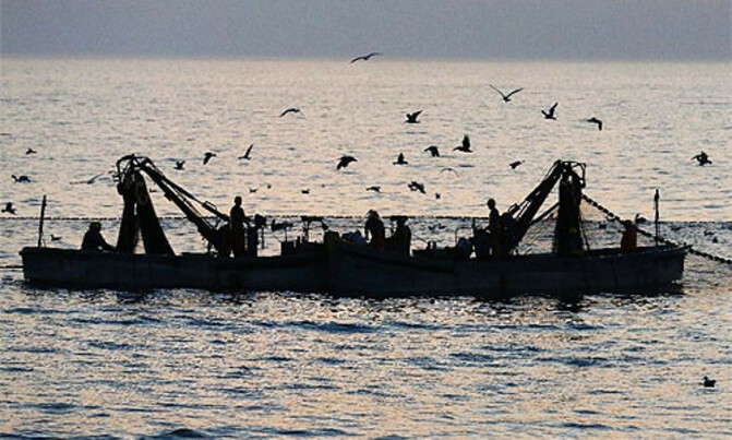 Global marine populations ''slashed by half'' since 1970 Global marine populations ''slashed by half'' since 1970