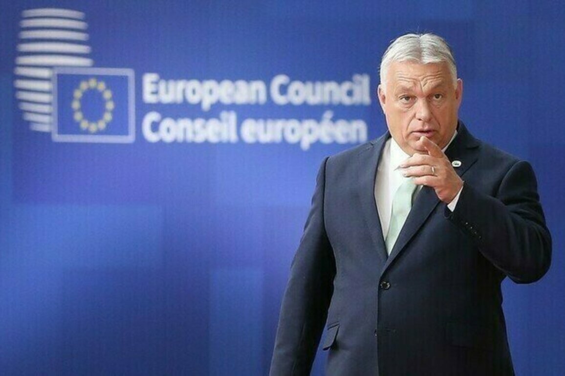EU member vows to fight warmongering bureaucrats in Brussels