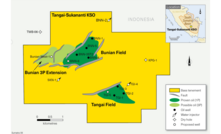 Bass Oil to double production at Indonesian fields