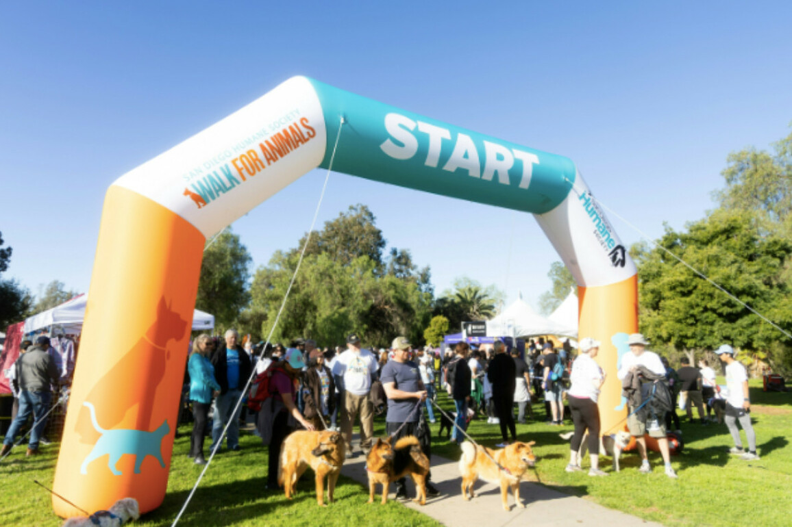 2,000 Step Up for Pets at Humane Society's Walk for Animals-North County s of San Diego