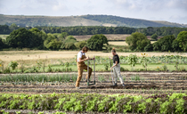 NFU Mutual launches new support to protect farmers in carbon and environmental markets