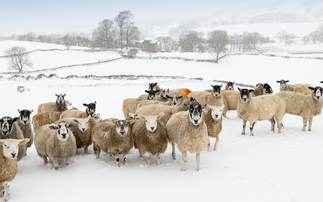  warned more snow and ice forecast this week