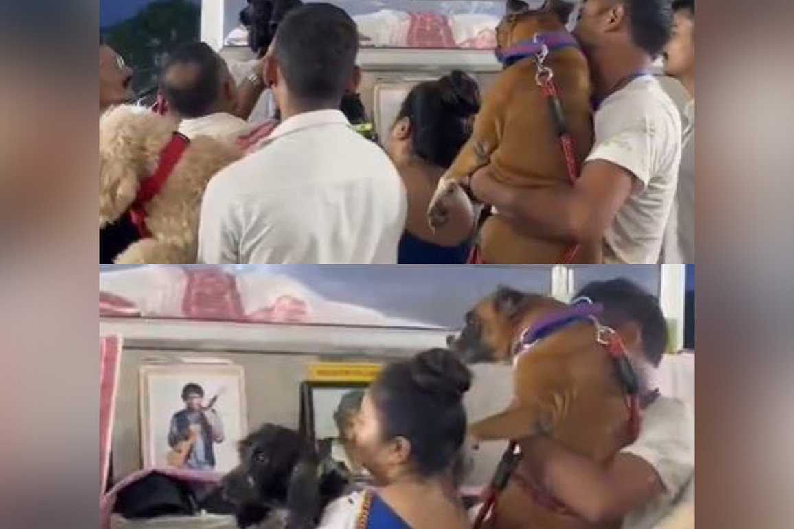 When Zubeen Garg's canine companions joined in for the last goodbye, Assam CM shares emotional moment