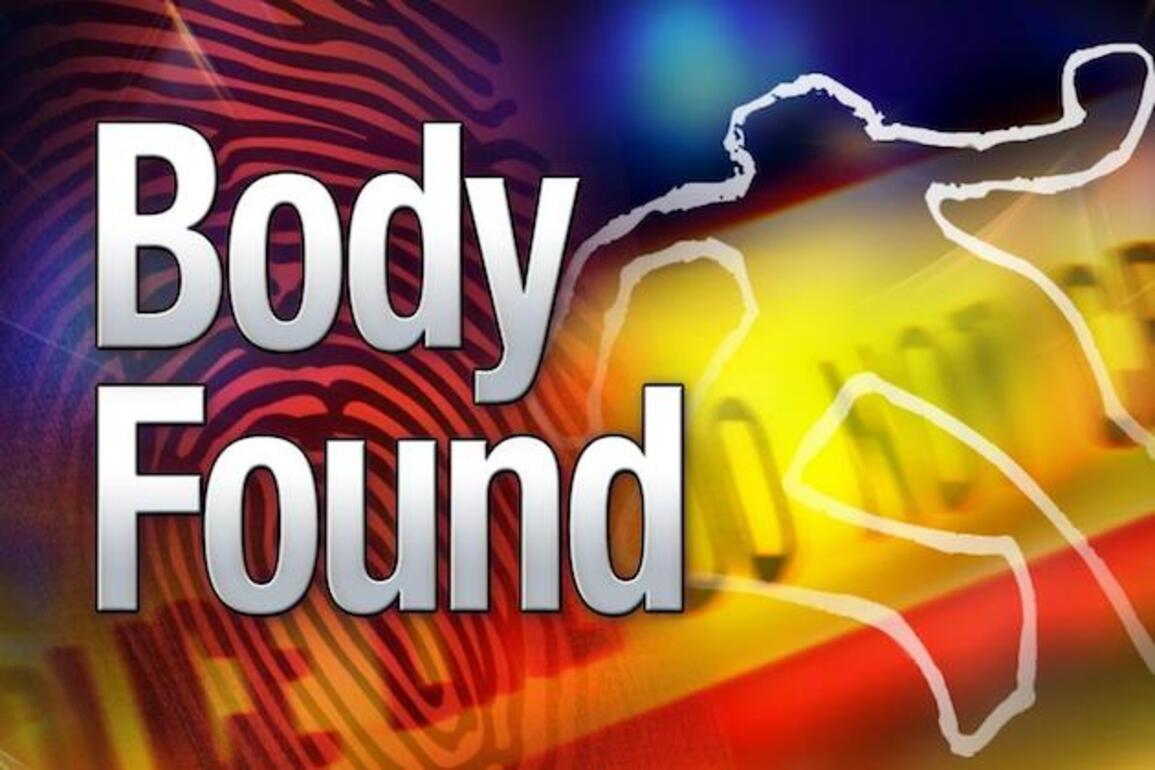 Gardaí appeal for witnesses after discovery of body in Carrick-on-Suir