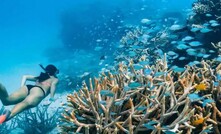  The Mackay Conservation Group claims Bravus failed to prepare construction sites on its Carmichael mine rail corridor for wet season flooding which could lead to the Great Barrier Reef being polluted. 