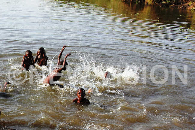  hildren swim on iver anafwa at oho rice scheme utaleja district